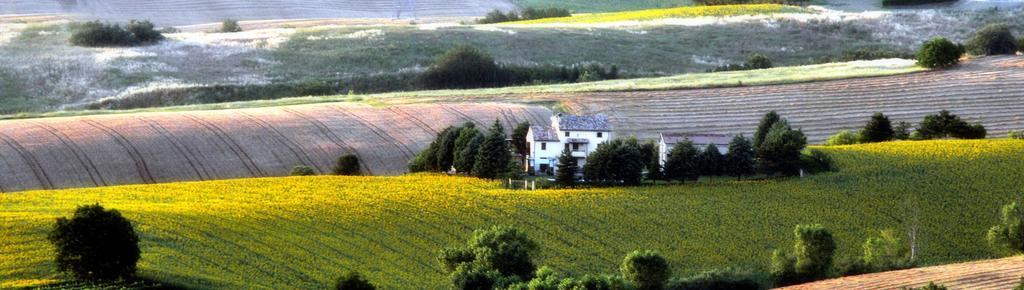 Country House Binnella Cingoli Exterior foto